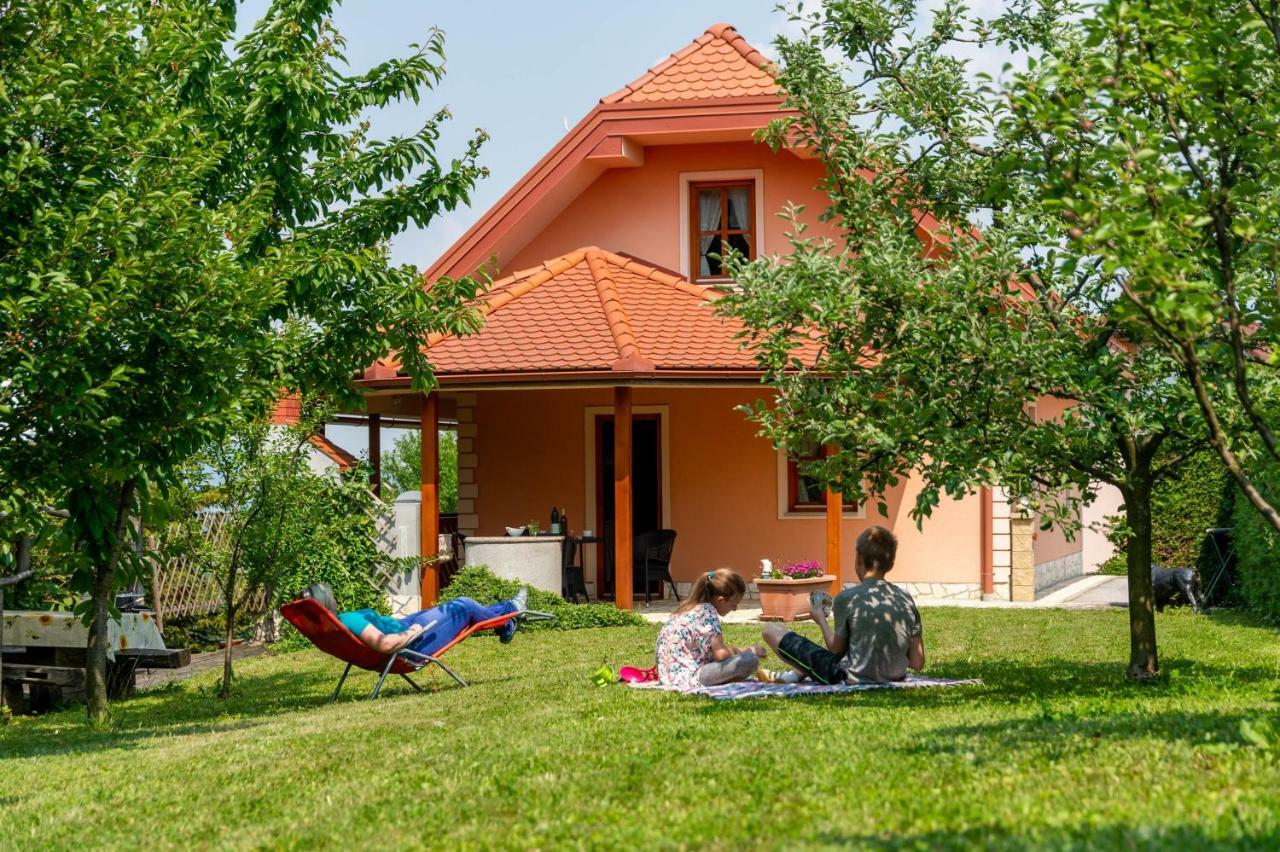 Planinca -Hisa Z Razgledom Apartment Smarje pri Jelsah Exterior photo